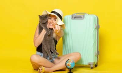 cats-and-travel-tips-for-a-stress-free-trip