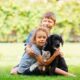 dogs-and-children-tips-for-a-safe-and-happy-coexistence