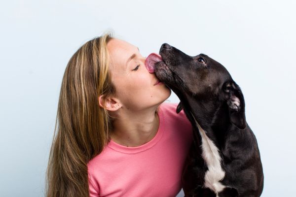 dogs-lick-their-mouths-the-curious-canine-behavior-explored